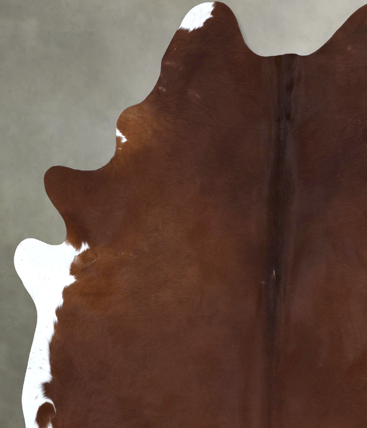 Brown and White Regular XX-Large Brazilian Cowhide Rug 8'11"H x 7'1"W #B20810 by Hudson Hides