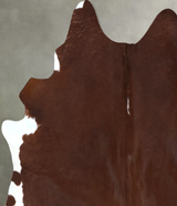 Brown and White Regular XX-Large Brazilian Cowhide Rug 8'0"H x 6'11"W #B20812 by Hudson Hides