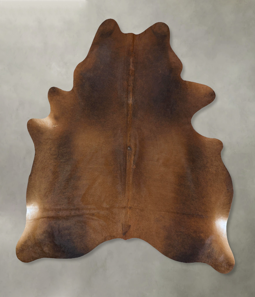 Chocolate XX-Large Brazilian Cowhide Rug 8'9"H x 6'6"W #B20813 by Hudson Hides