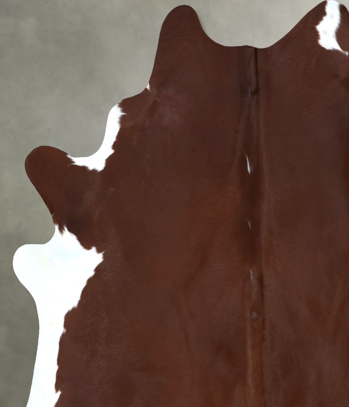 Brown and White Regular XX-Large Brazilian Cowhide Rug 7'8"H x 6'8"W #B20814 by Hudson Hides