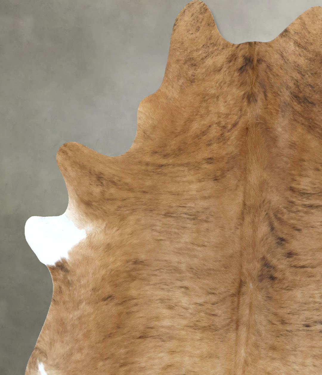 Medium Brindle XX-Large Brazilian Cowhide Rug 7'11"H x 6'5"W #B20815 b