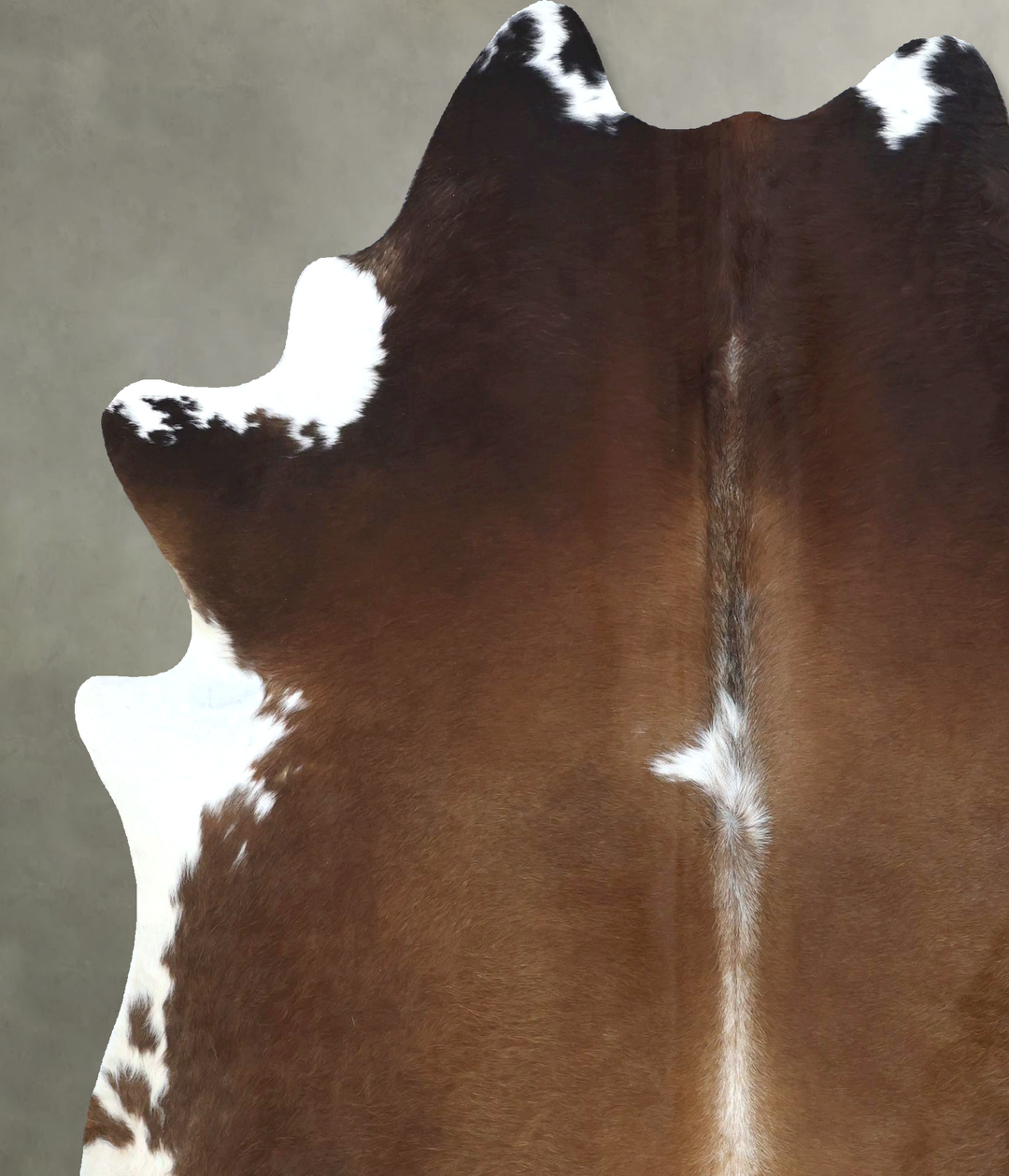 Chocolate and White X-Large Brazilian Cowhide Rug 7'8"H x 6'6"W #B2081