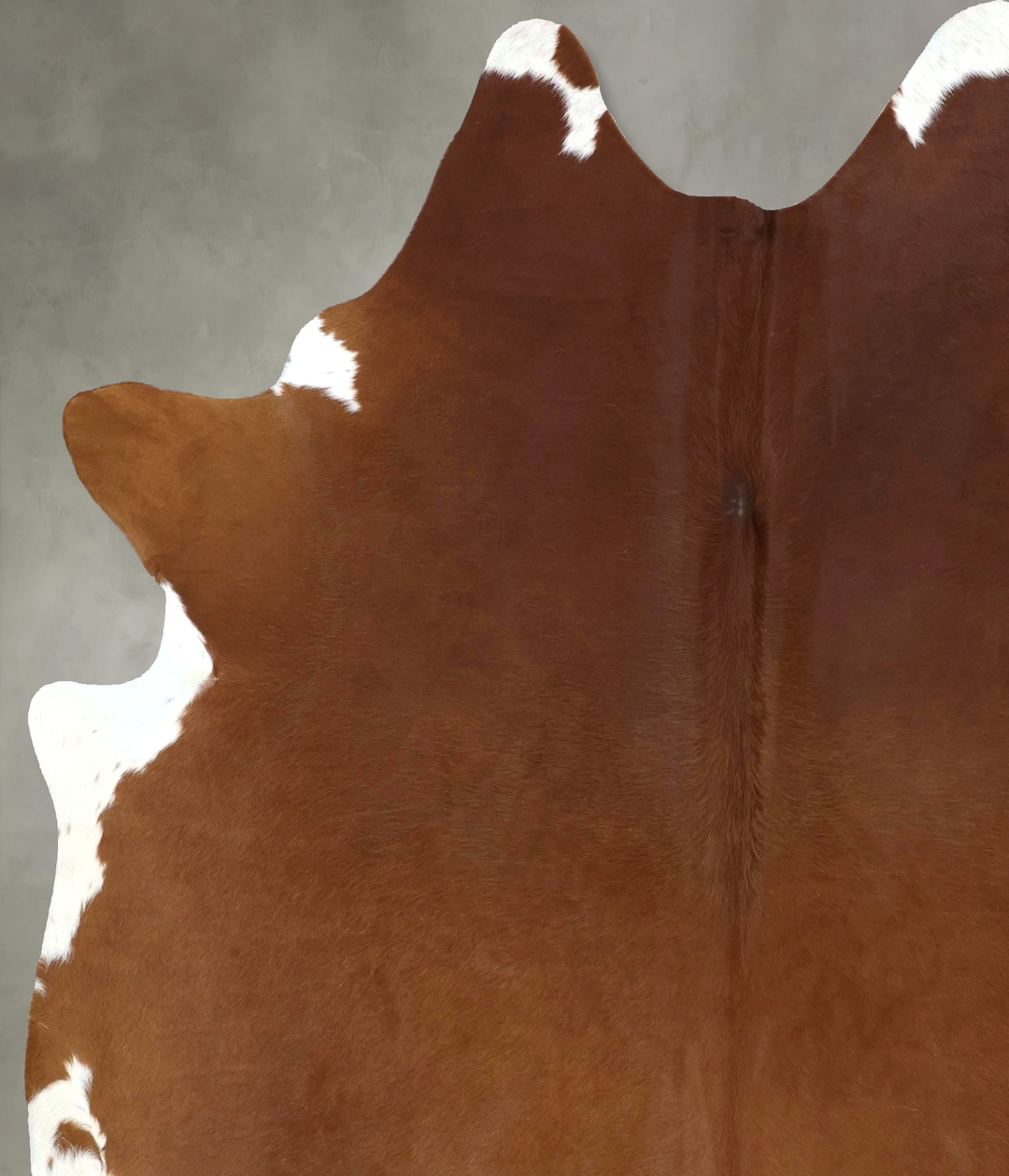 Solid Brown X-Large Brazilian Cowhide Rug 7'8"H x 6'5"W #B20817 by Hud