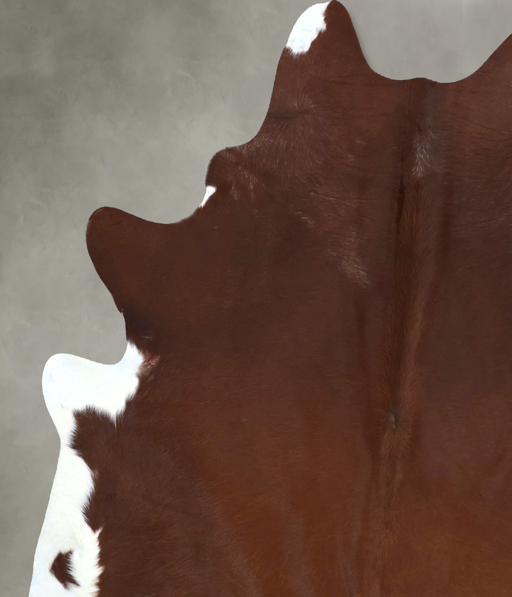 Brown and White Regular XX-Large Brazilian Cowhide Rug 8'0"H x 6'4"W #B20818 by Hudson Hides