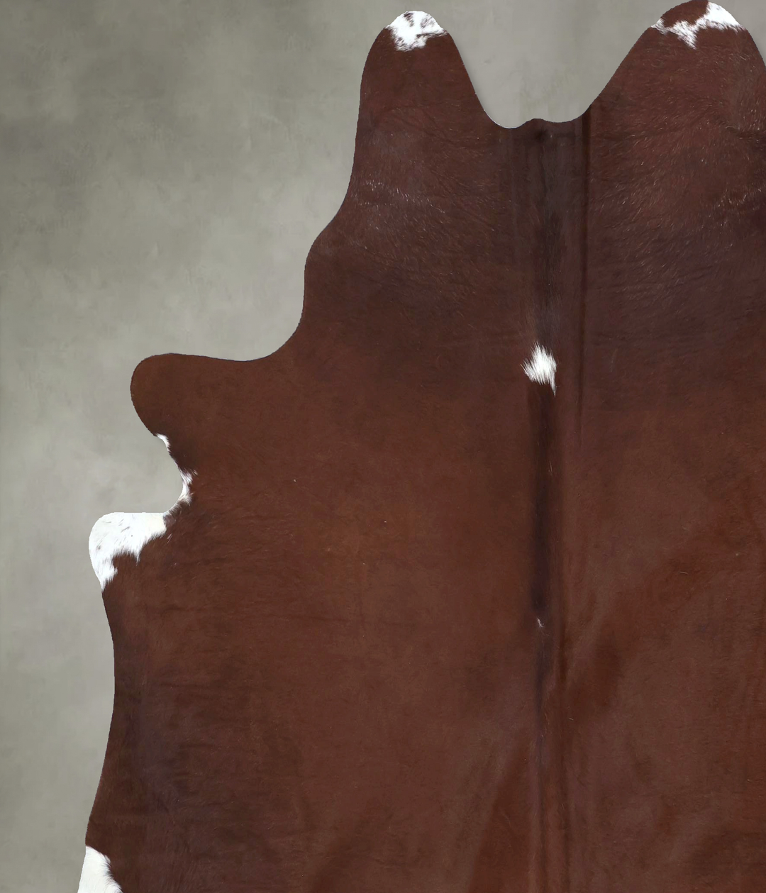 Solid Brown XX-Large Brazilian Cowhide Rug 7'6"H x 6'11"W #B20827 by H