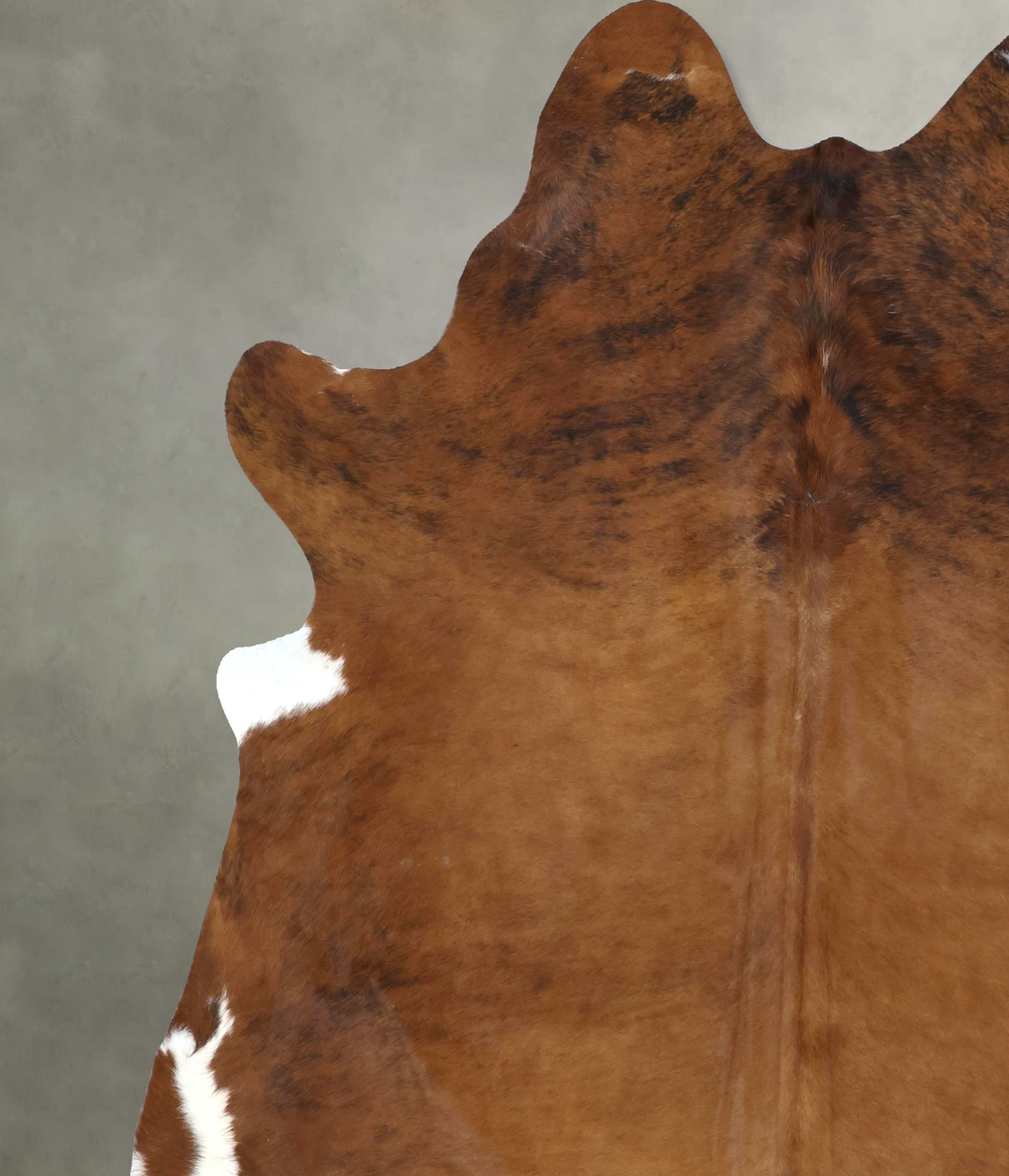 Medium Brindle XX-Large Brazilian Cowhide Rug 8'4"H x 7'5"W #B20828 by