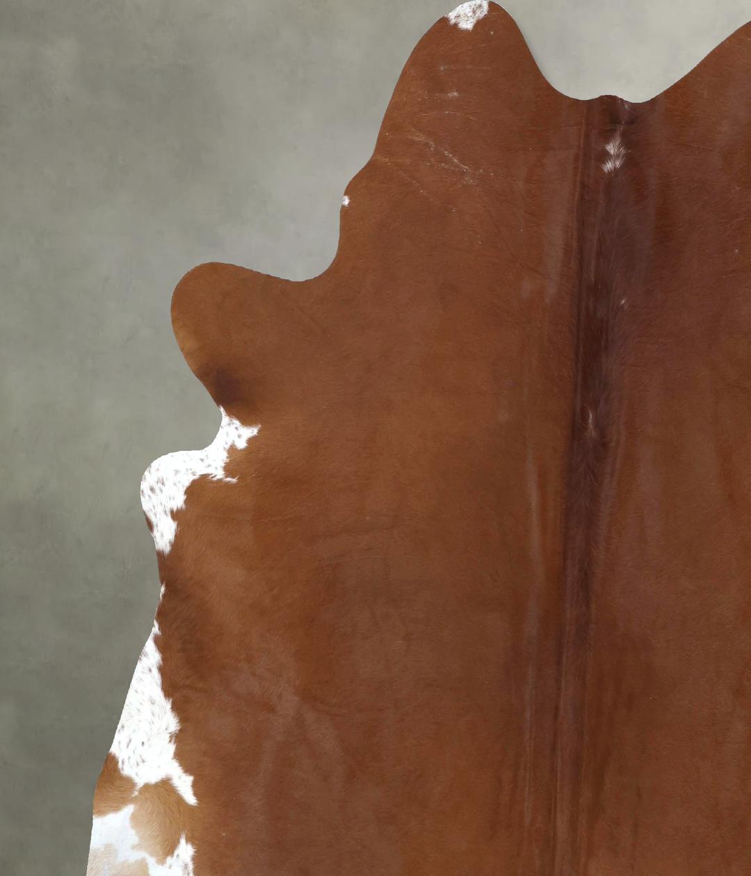 Solid Brown XX-Large Brazilian Cowhide Rug 7'10"H x 7'3"W #B20831 by H