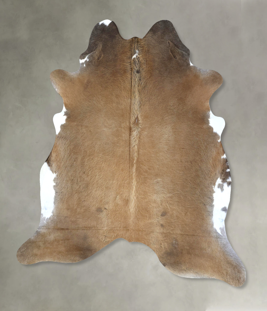 Light Caramel XX-Large Brazilian Cowhide Rug 8'4"H x 7'3"W #B20835 by Hudson Hides