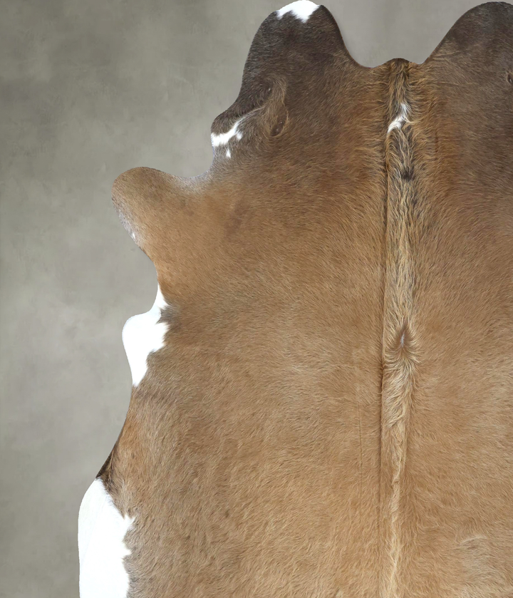 Light Caramel XX-Large Brazilian Cowhide Rug 8'4"H x 7'3"W #B20835 by Hudson Hides