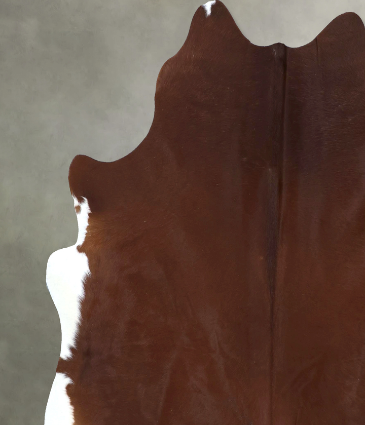 Solid Brown XX-Large Brazilian Cowhide Rug 7'3"H x 7'0"W #B20837 by Hudson Hides