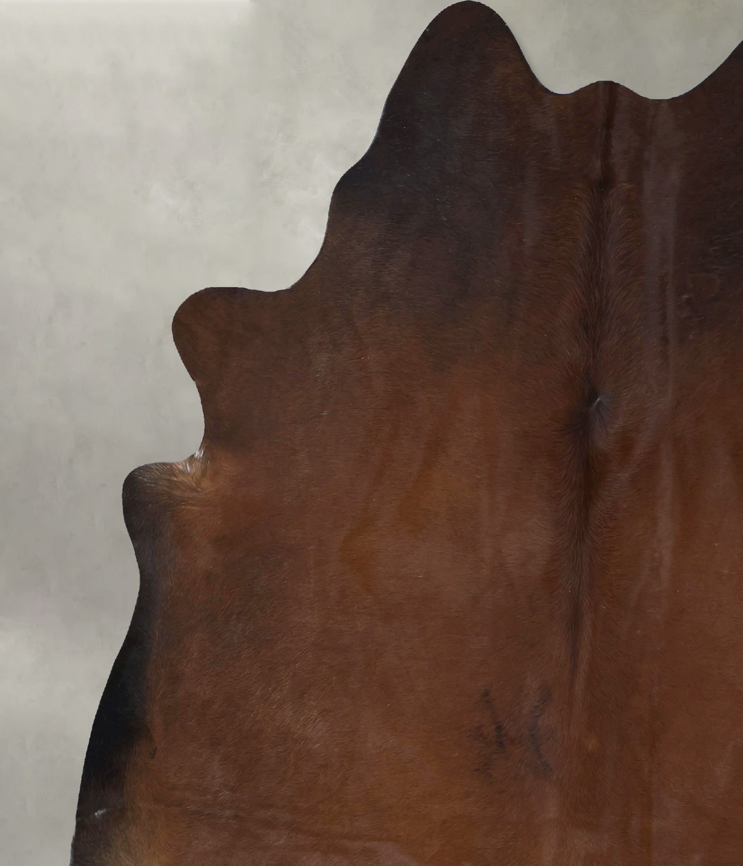 Warm Caramel XX-Large Brazilian Cowhide Rug 8'8"H x 7'2"W #B20843 by H