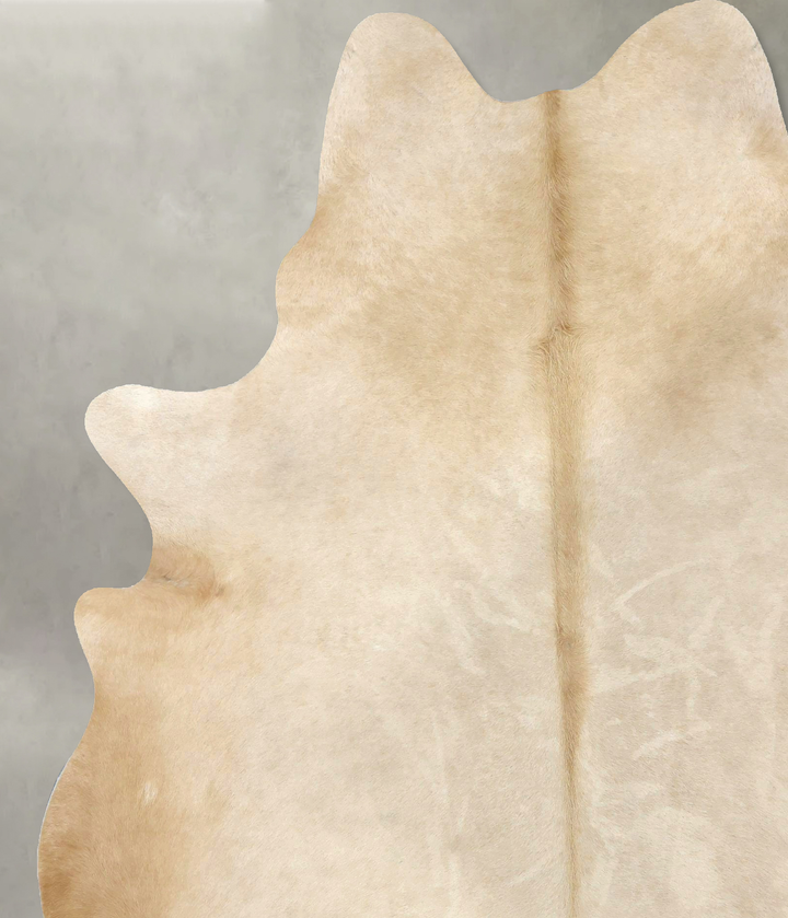 Palomino XX-Large Brazilian Cowhide Rug 8'2"H x 6'4"W #B20848 by Hudson Hides