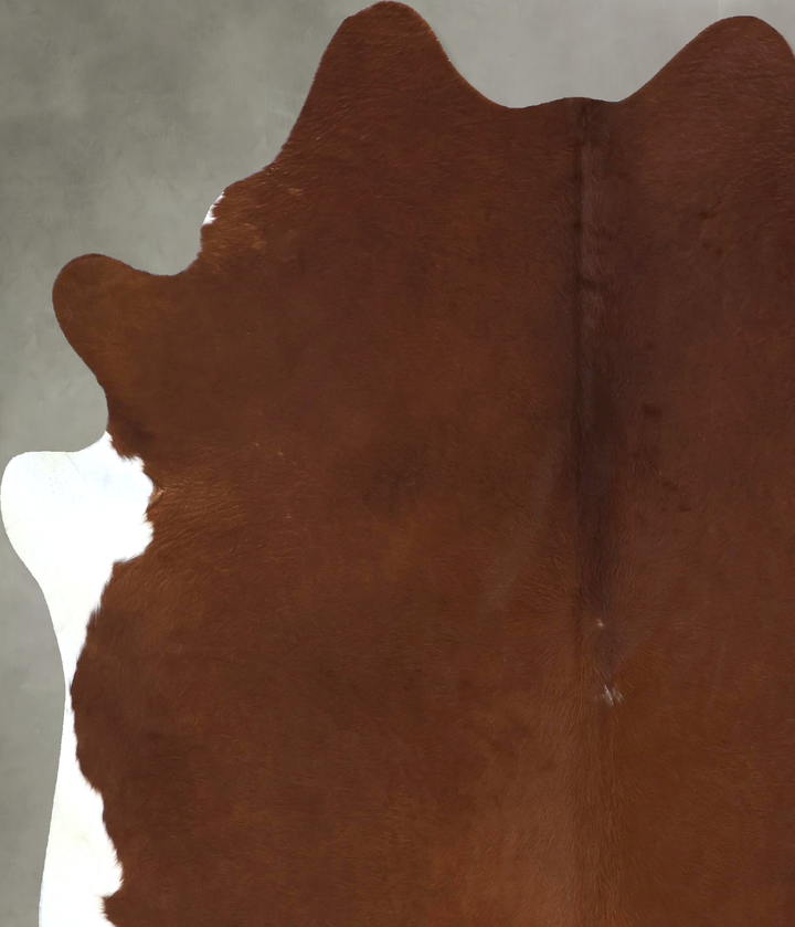 Solid Brown X-Large Brazilian Cowhide Rug 7'8"H x 6'5"W #B20854 by Hudson Hides
