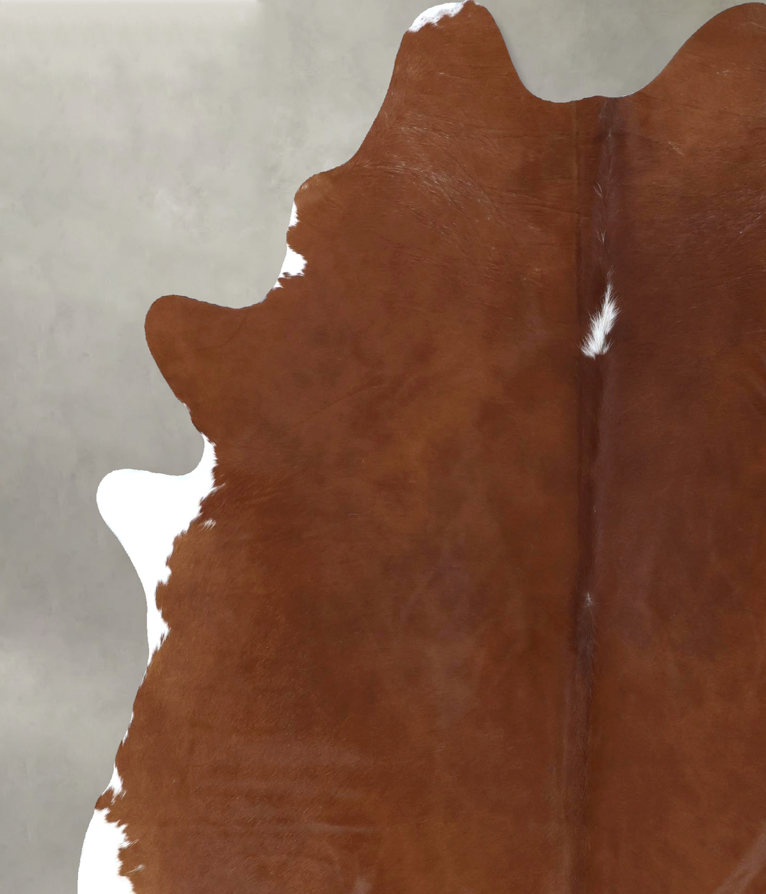 Brown and White Regular XX-Large Brazilian Cowhide Rug 7'10"H x 6'5"W 
