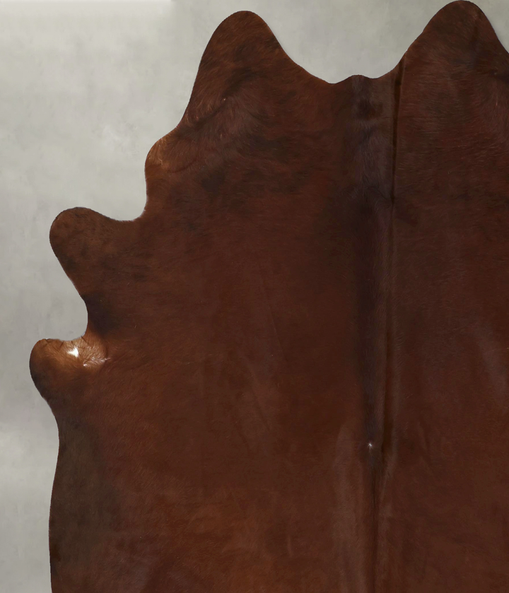 Solid Brown XX-Large Brazilian Cowhide Rug 8'2"H x 7'0"W #B20857 by Hudson Hides