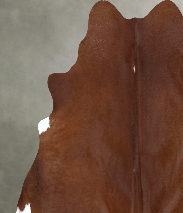 Solid Brown XX-Large Brazilian Cowhide Rug 7'3"H x 7'2"W #B20859 by Hudson Hides