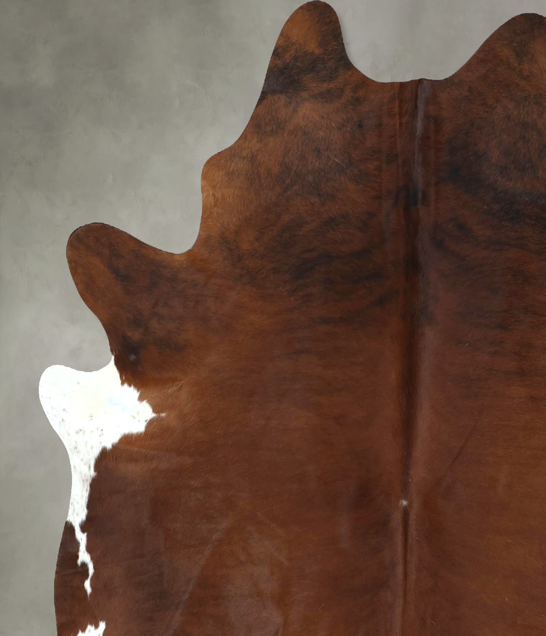 Medium Brindle XX-Large Brazilian Cowhide Rug 7'9"H x 6'7"W #B20860 by