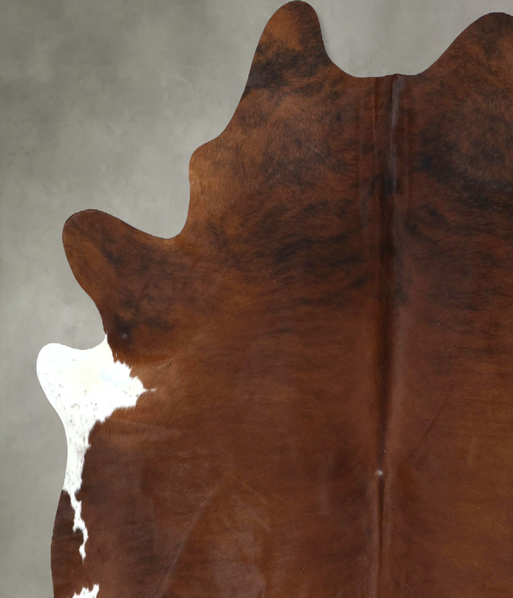 Medium Brindle XX-Large Brazilian Cowhide Rug 7'9"H x 6'7"W #B20860 by Hudson Hides
