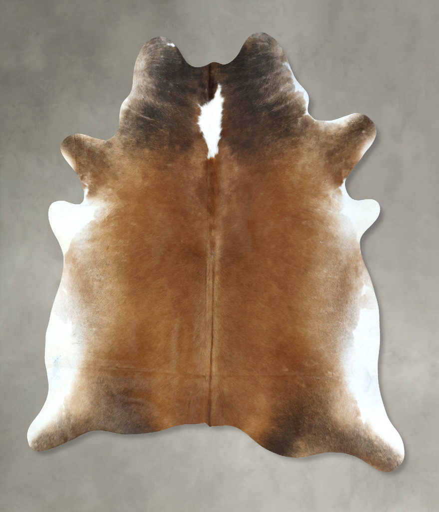 Warm Caramel XX-Large Brazilian Cowhide Rug 8'2"H x 7'2"W #B20865 by Hudson Hides