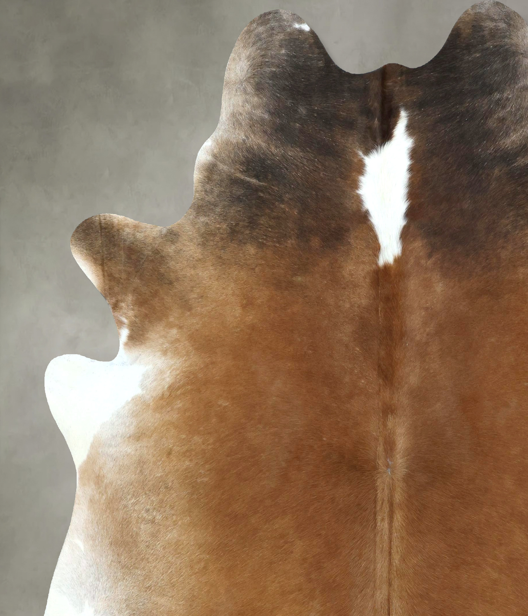 Warm Caramel XX-Large Brazilian Cowhide Rug 8'2"H x 7'2"W #B20865 by H