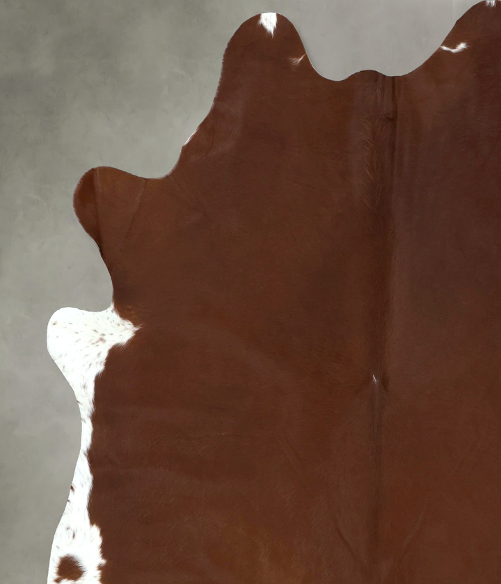 Solid Brown X-Large Brazilian Cowhide Rug 7'6"H x 6'8"W #B20867 by Hudson Hides