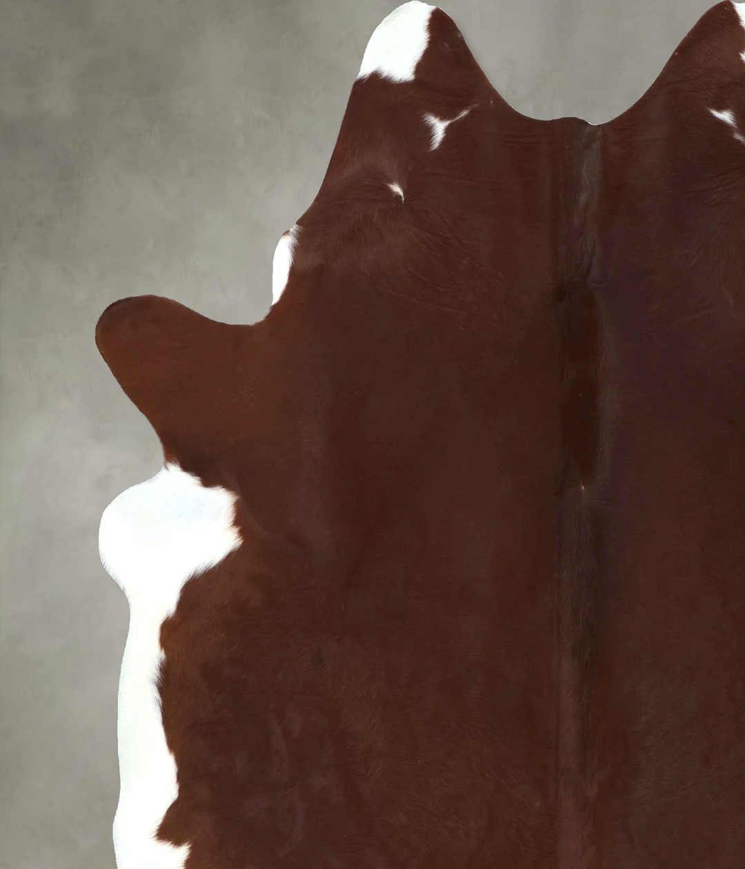Solid Brown XX-Large Brazilian Cowhide Rug 7'11"H x 6'7"W #B20869 by H