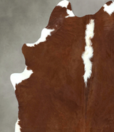 Hereford XX-Large Brazilian Cowhide Rug 8'2"H x 6'5"W #B20870 by Hudson Hides