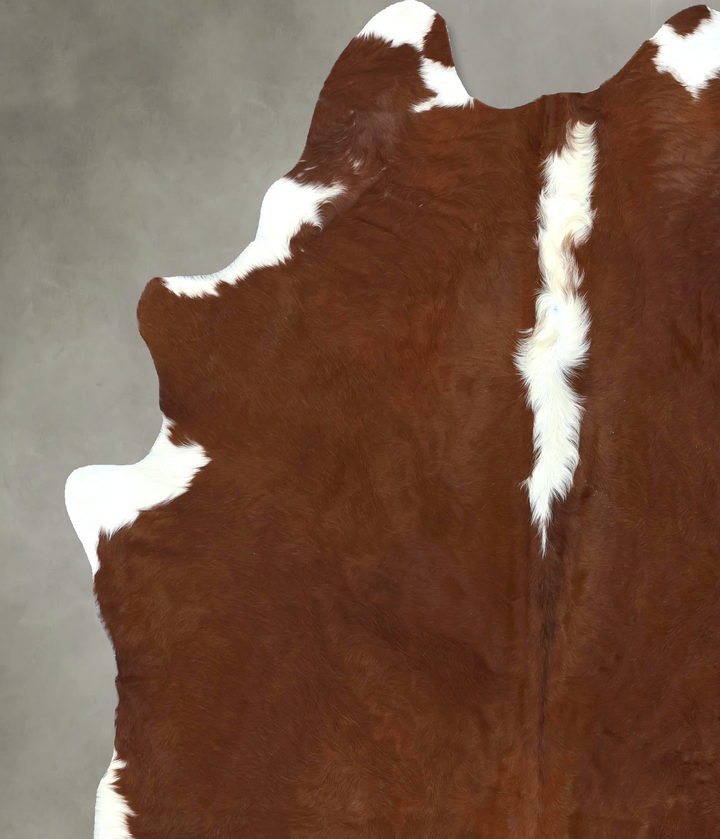 Hereford XX-Large Brazilian Cowhide Rug 8'2"H x 6'5"W #B20870 by Hudson Hides