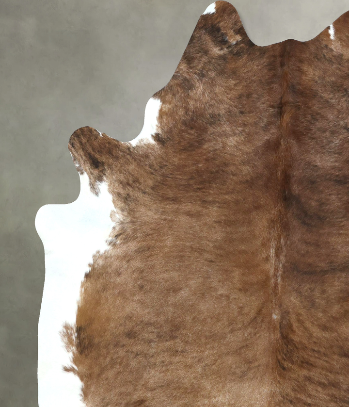 Medium Brindle XX-Large Brazilian Cowhide Rug 8'2"H x 6'8"W #B20871 by Hudson Hides