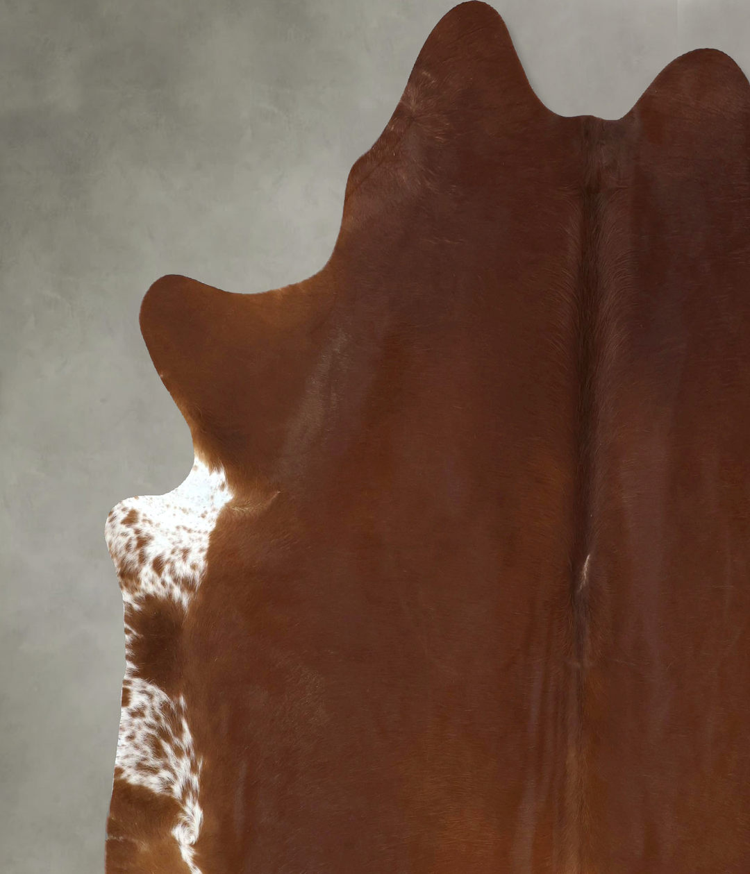 Solid Brown XX-Large Brazilian Cowhide Rug 8'3"H x 7'7"W #B20873 by Hu