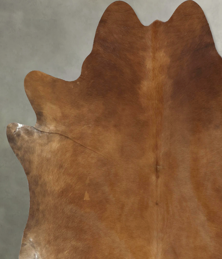Solid Brown XX-Large Brazilian Cowhide Rug 7'6"H x 7'2"W #B20875 by Hudson Hides