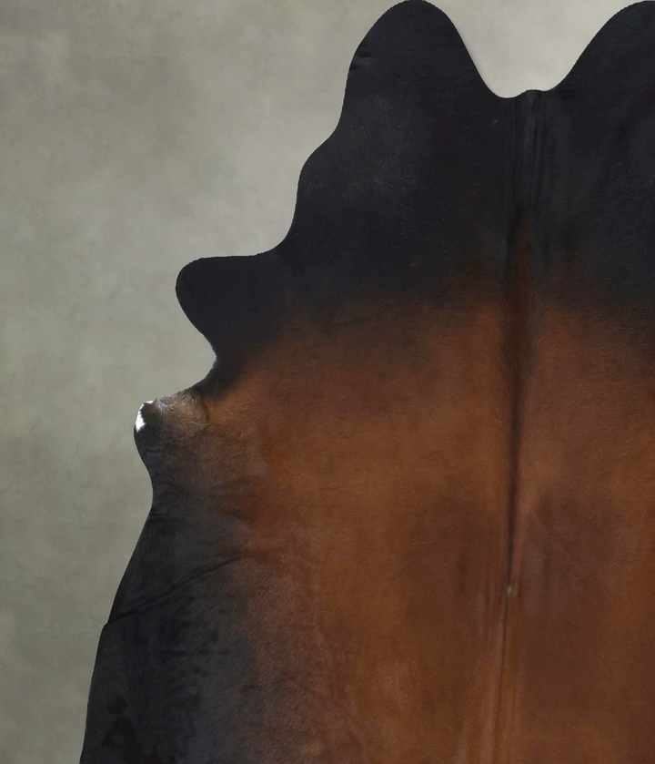 Warm Caramel XX-Large Brazilian Cowhide Rug 7'8"H x 7'0"W #B20878 by Hudson Hides