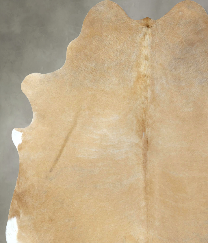 Palomino XX-Large Brazilian Cowhide Rug 7'9"H x 6'10"W #B20880 by Hudson Hides