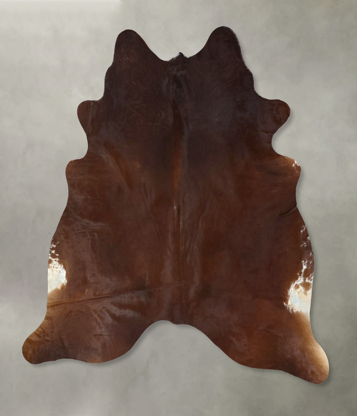 Warm Caramel XX-Large Brazilian Cowhide Rug 7'10"H x 7'1"W #B20881 by Hudson Hides