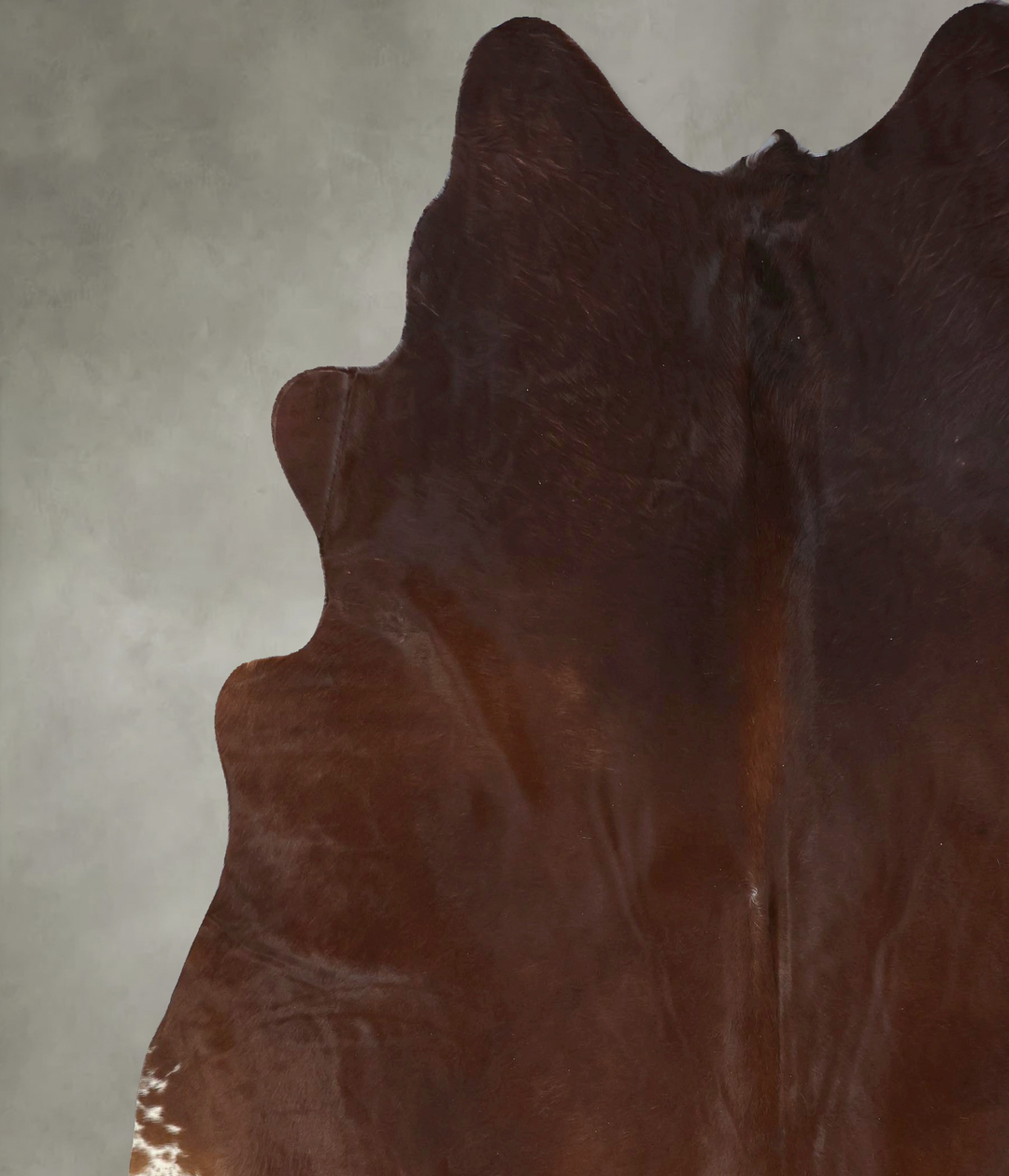 Warm Caramel XX-Large Brazilian Cowhide Rug 7'10"H x 7'1"W #B20881 by 