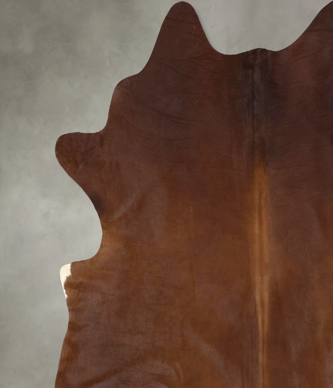Solid Brown XX-Large Brazilian Cowhide Rug 7'11"H x 6'11"W #B20898 by 