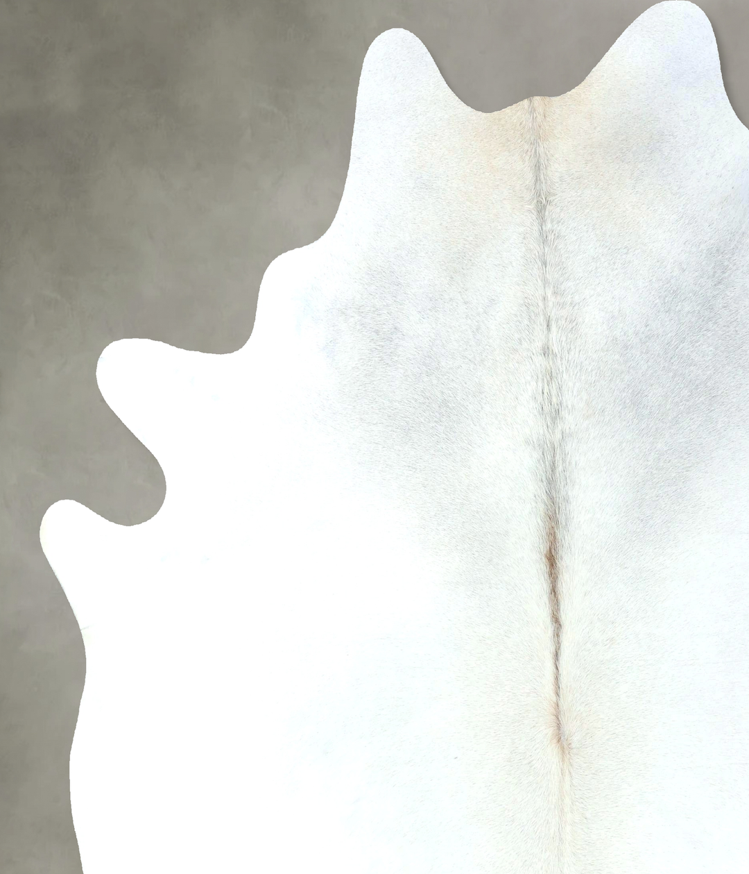 Light Grey XX-Large Brazilian Cowhide Rug 8'3"H x 7'4"W #B20899 by Hud