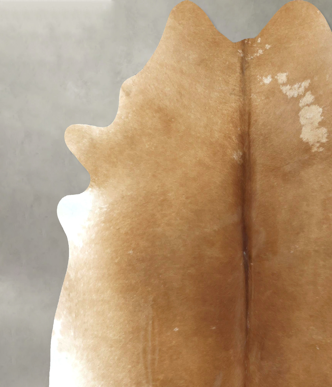 Beige XX-Large Brazilian Cowhide Rug 7'10"H x 6'9"W #B20901 by Hudson 