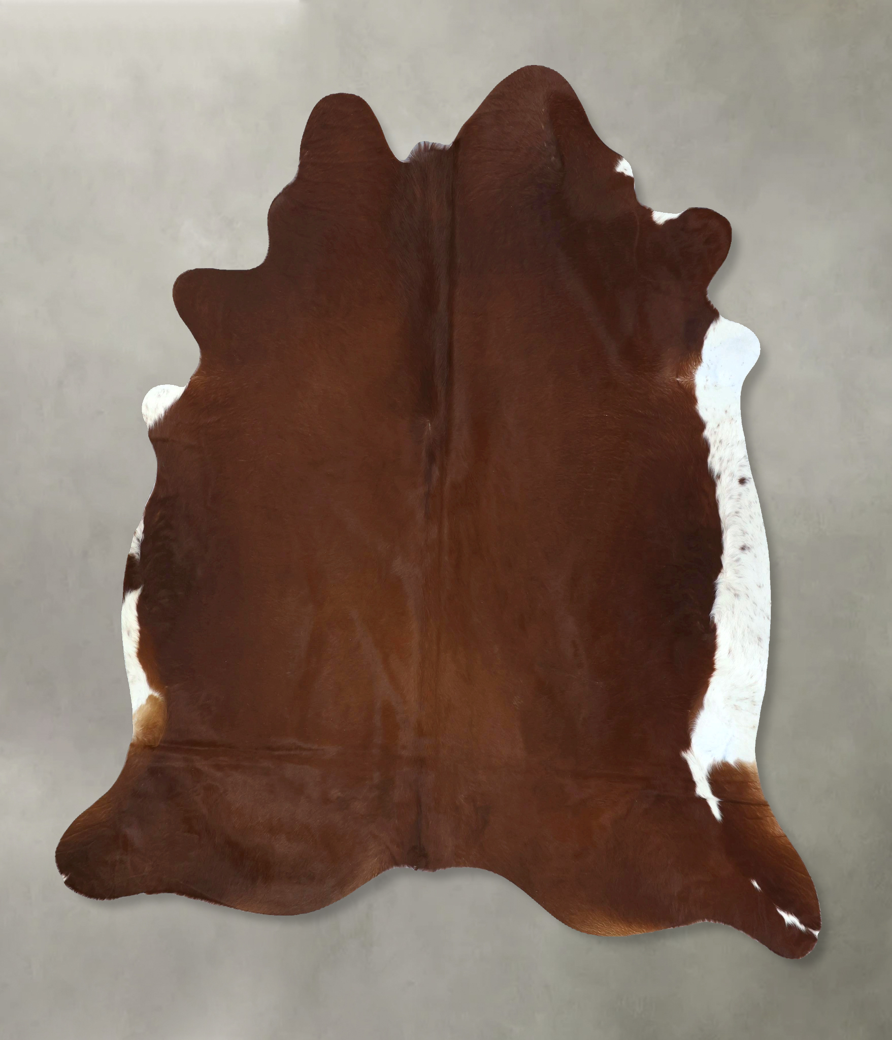 Brown and White Regular Cowhide Rug #B20903