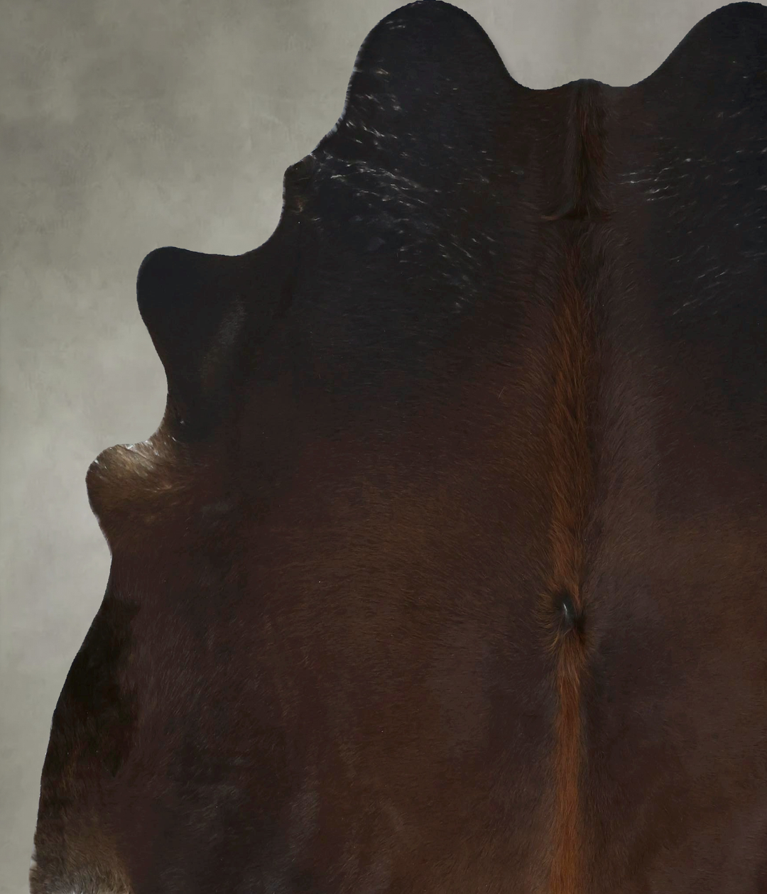 Chocolate XX-Large Brazilian Cowhide Rug 7'5"H x 6'10"W #B20908 by Hud