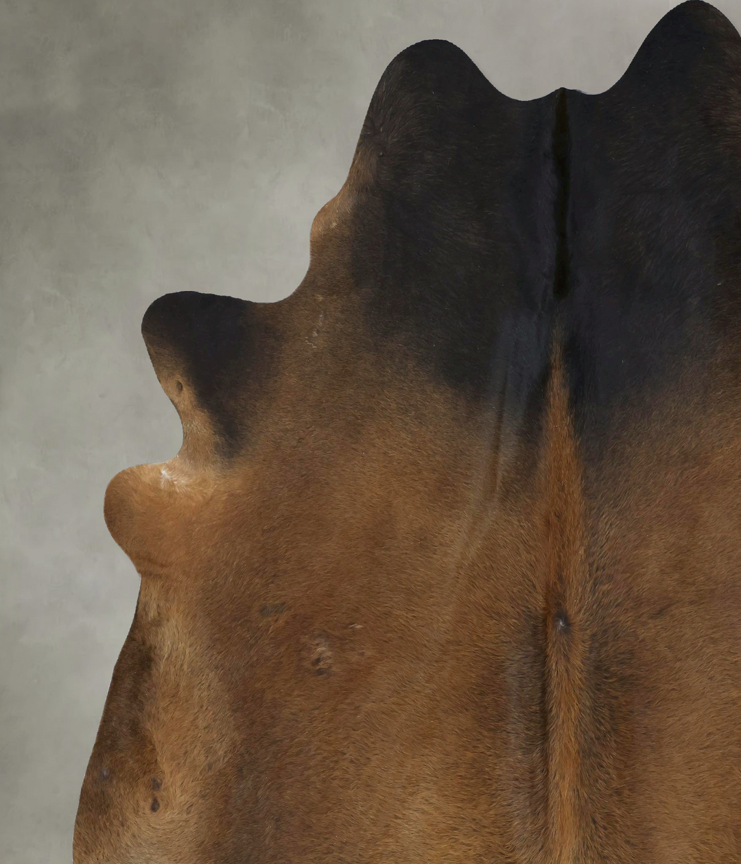 Warm Caramel XX-Large Brazilian Cowhide Rug 8'7"H x 7'8"W #B20911 by H