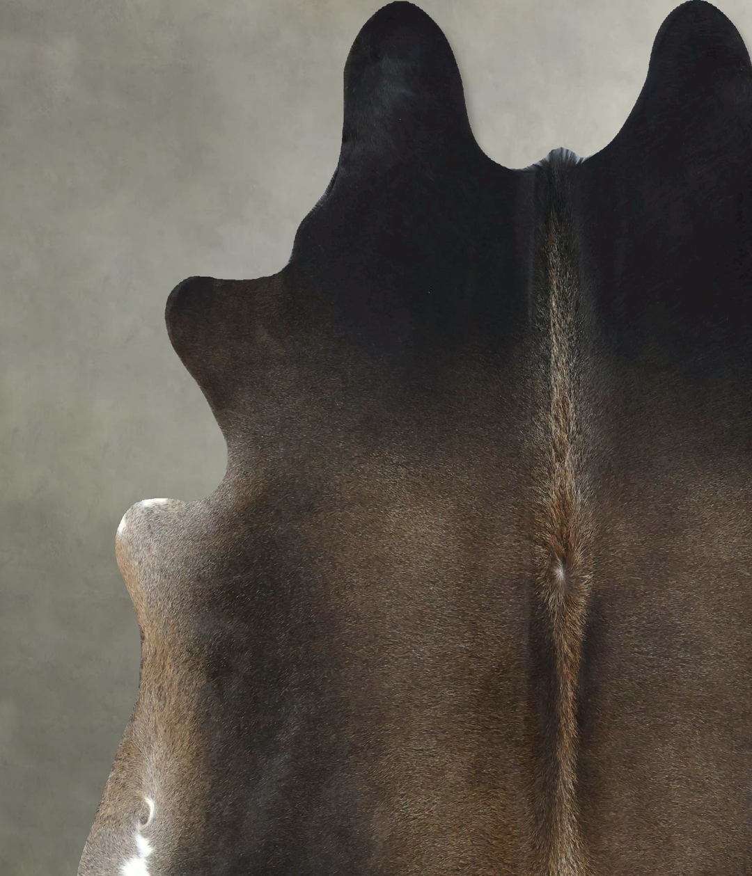 Chocolate XX-Large Brazilian Cowhide Rug 7'4"H x 7'1"W #B20915 by Huds