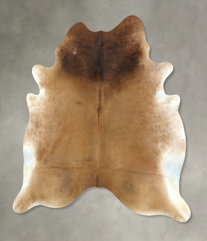 Beige XX-Large Brazilian Cowhide Rug 7'8"H x 6'9"W #B20923 by Hudson Hides