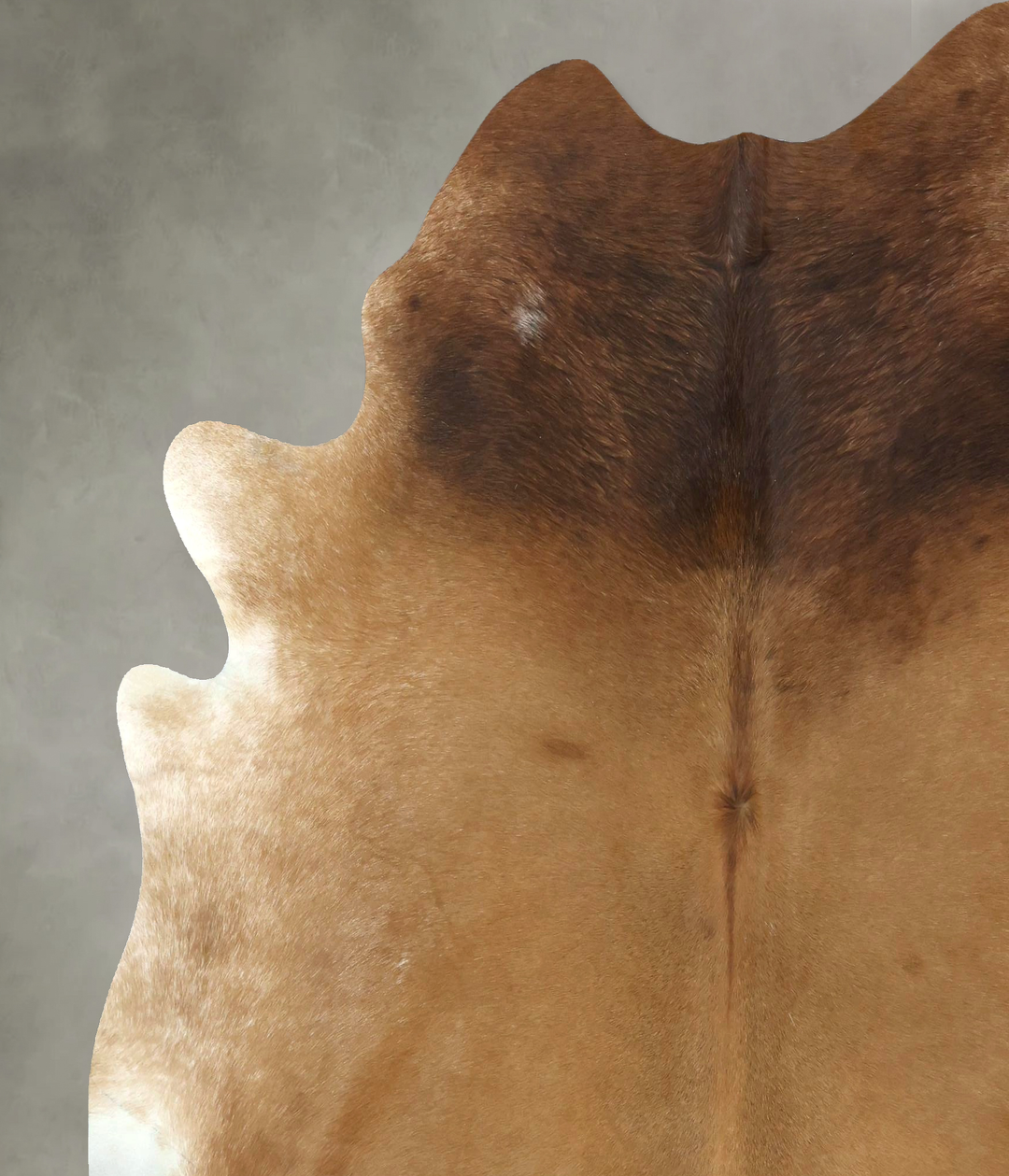 Beige XX-Large Brazilian Cowhide Rug 7'8"H x 6'9"W #B20923 by Hudson H