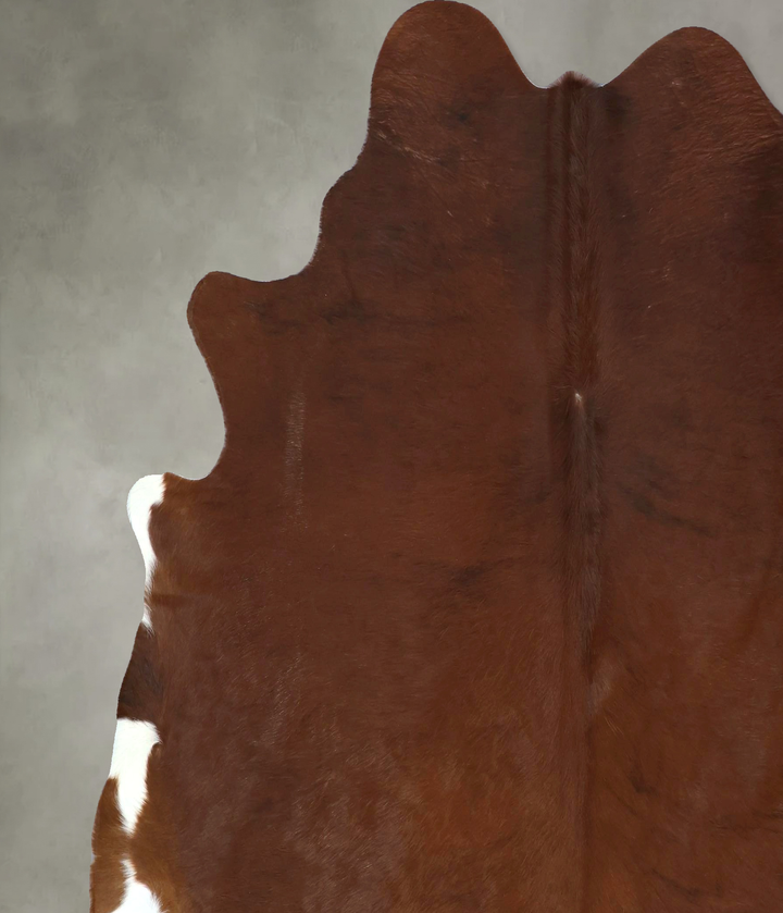 Medium Brindle XX-Large Brazilian Cowhide Rug 7'2"H x 7'0"W #B20924 by Hudson Hides