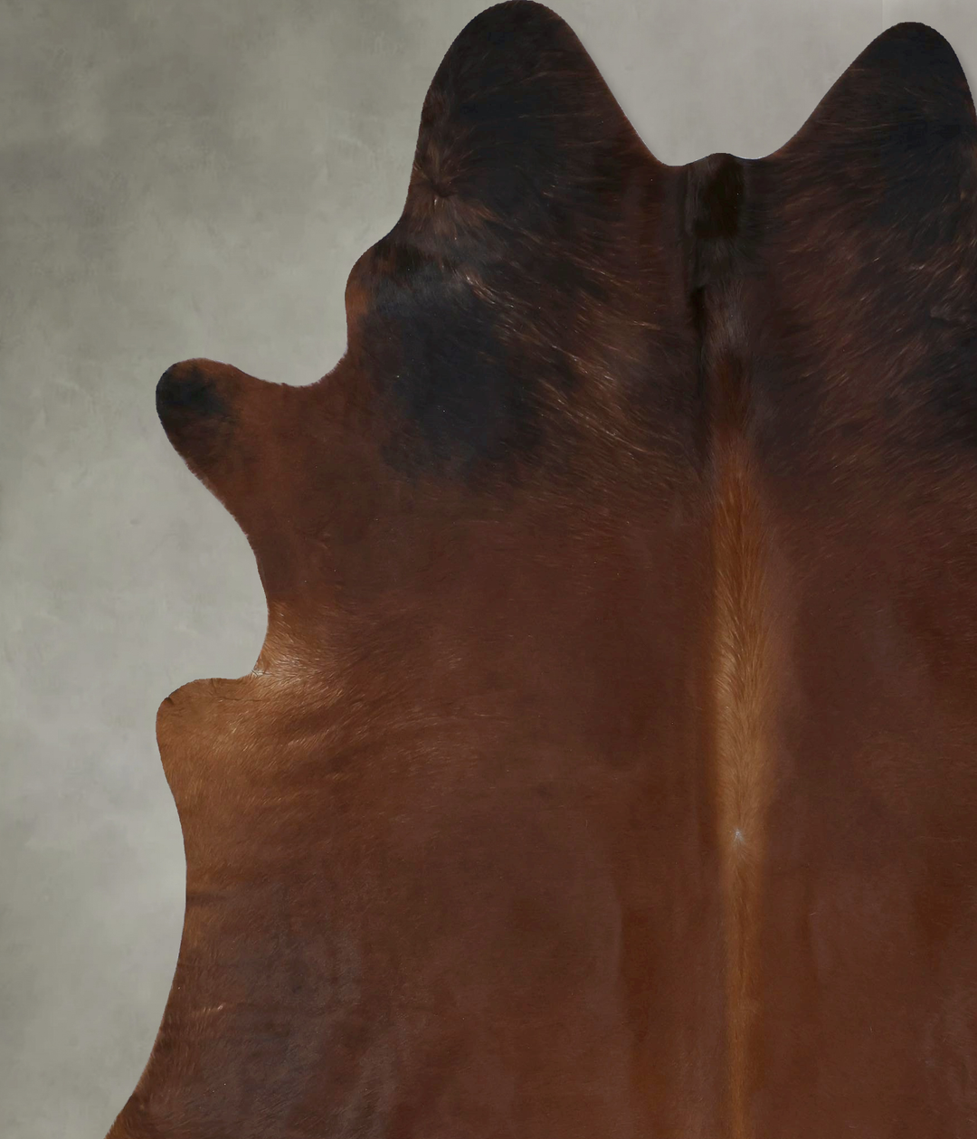 Warm Caramel XX-Large Brazilian Cowhide Rug 8'3"H x 6'10"W #B20925 by 