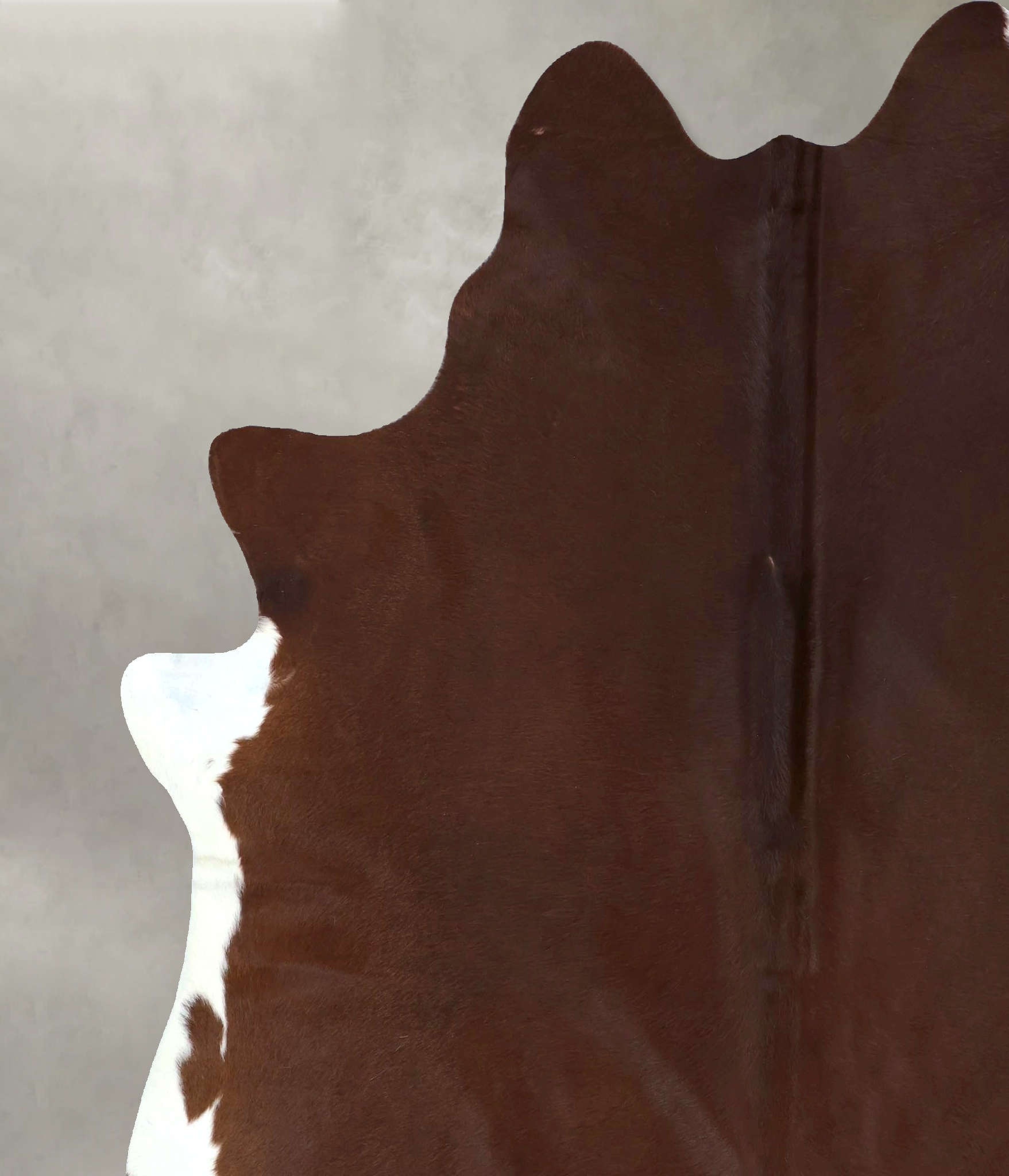 Brown and White Regular Cowhide Rug #B20928