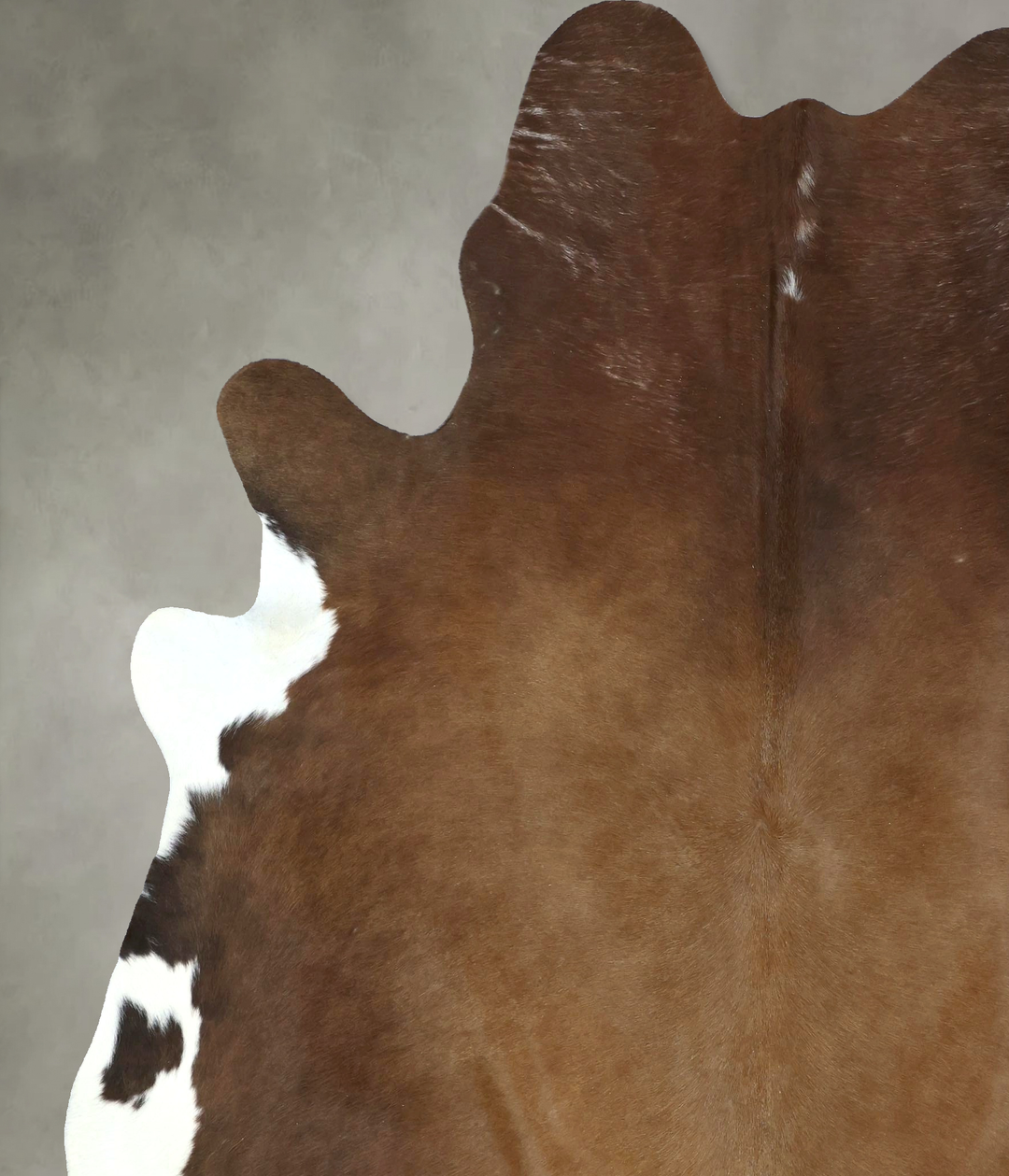 Brown and White Regular XX-Large Brazilian Cowhide Rug 8'1"H x 6'11"W 