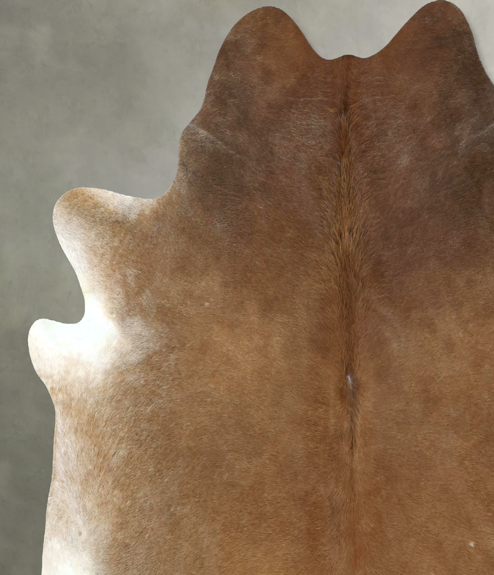 Light Caramel XX-Large Brazilian Cowhide Rug 8'3"H x 7'9"W #B20933 by Hudson Hides