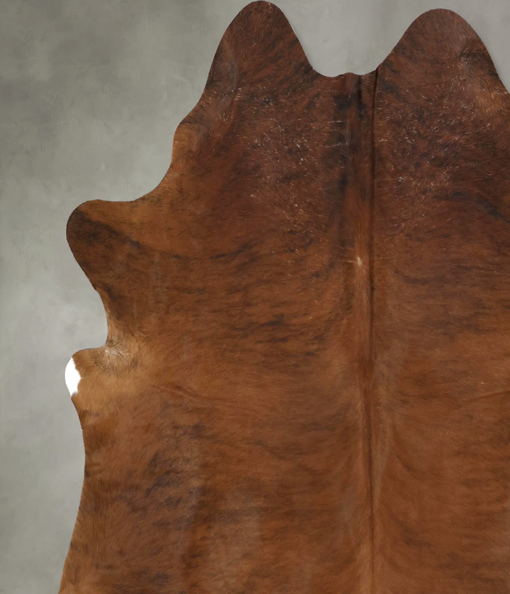 Medium Brindle X-Large Brazilian Cowhide Rug 7'2"H x 6'11"W #B20935 by Hudson Hides